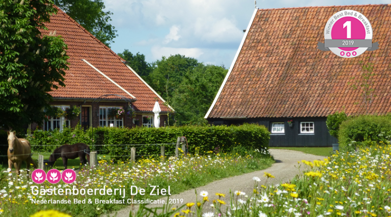 Beste B&B Van Nederland 2019: Buitengoed Op De Knolle | Bedandbreakfast.nl