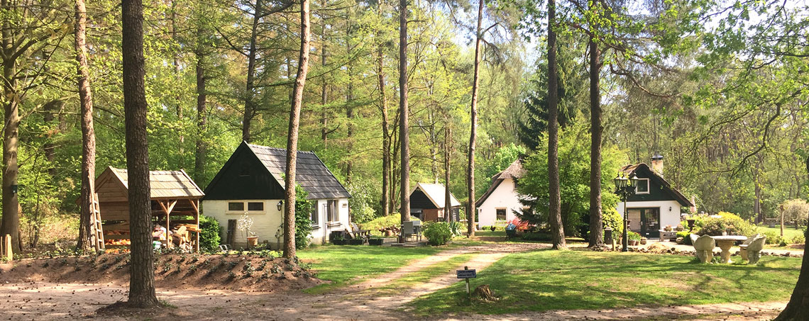 5 Contactvrije B&B’s Op Bijzondere Locaties | Bedandbreakfast.nl