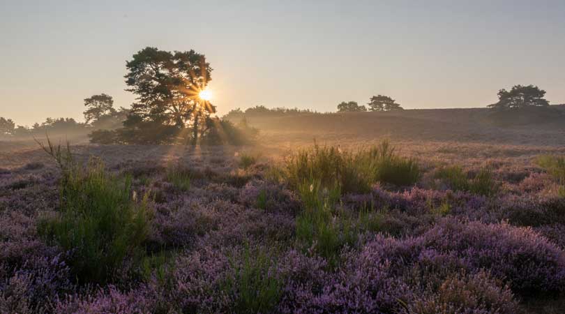 B&B Zuid-Limburg: Ervaar Het Ultieme Vakantiegevoel | Bedandbreakfast.nl